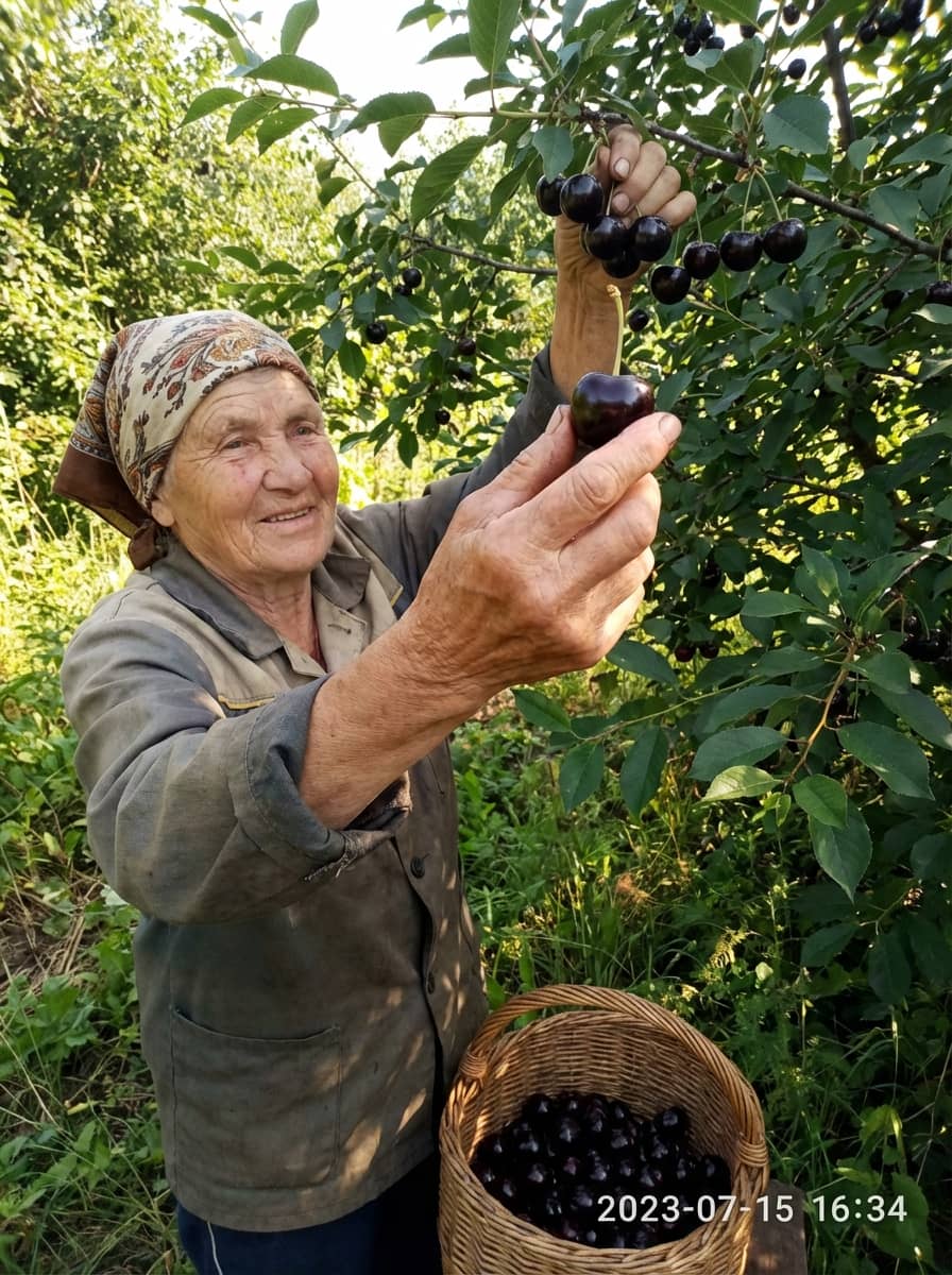 Фото відгуку 7